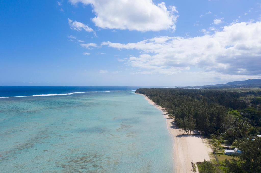 The Secret Beaches of Mauritius That Locals Don't Want You to Find